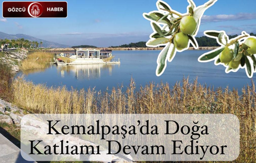 Kemalpaşa’da Doğa Katliamı Devam Ediyor: Yetkililer Sessizliğini Koruyor