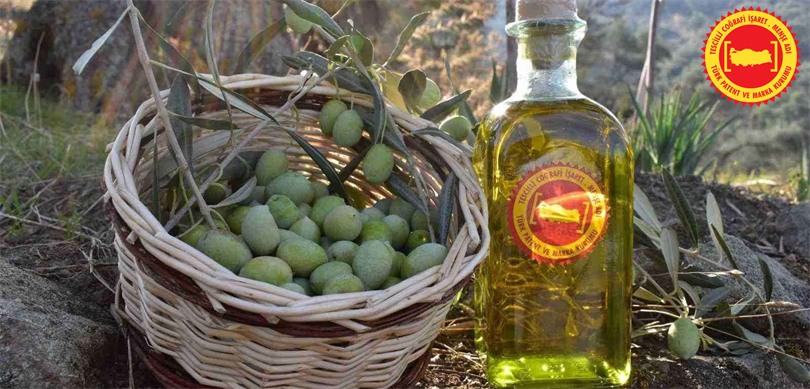 Aydın Memecik Zeytini, Avrupa Birliğinden Tescil Aldı