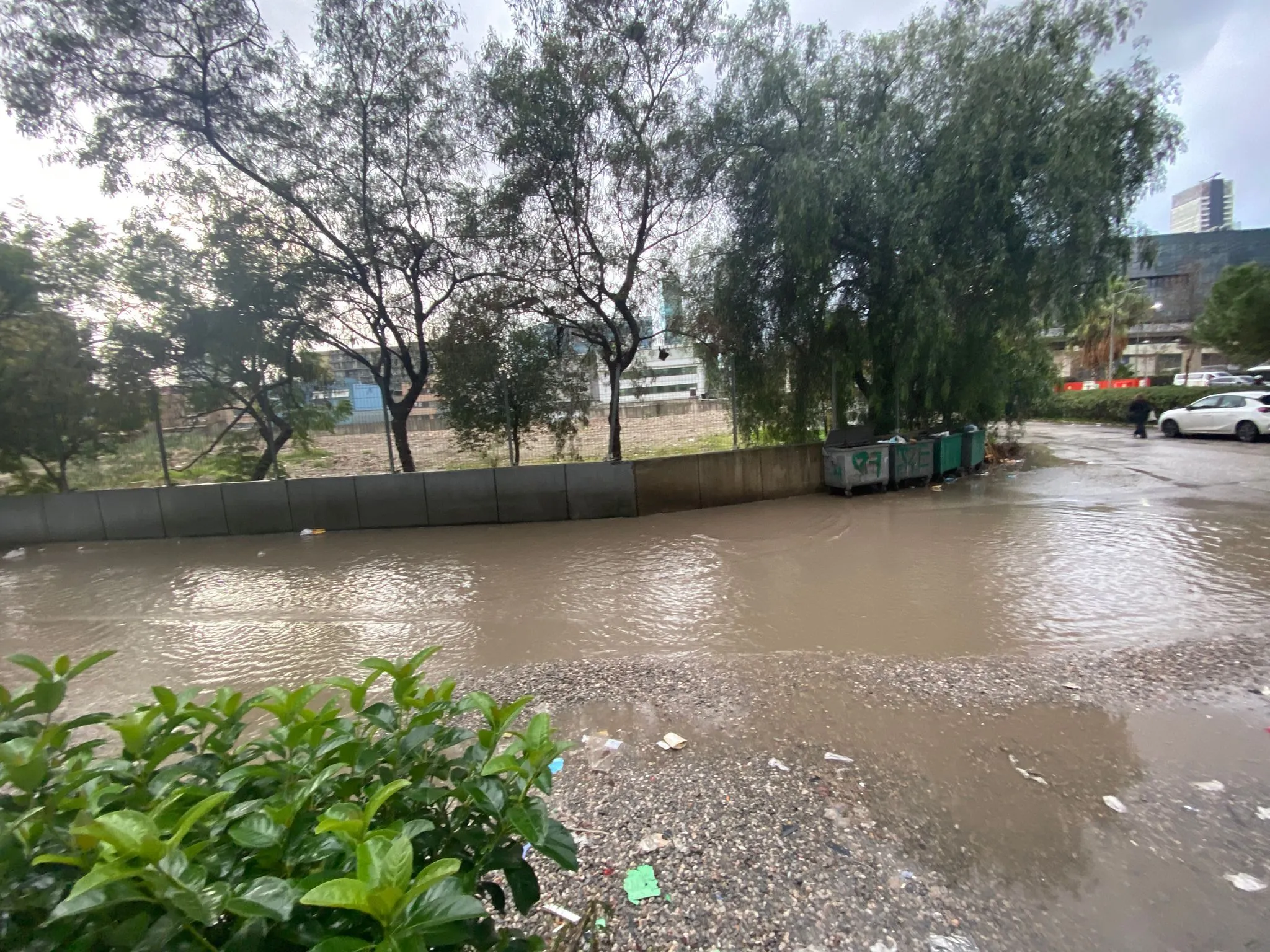 Bornova’nın küçük gölü! Her yağmurda aynı manzara