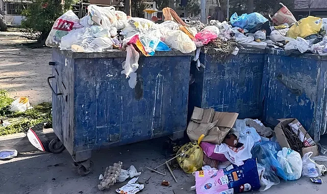 Buca'da Çöp Sorunu Büyüyor!